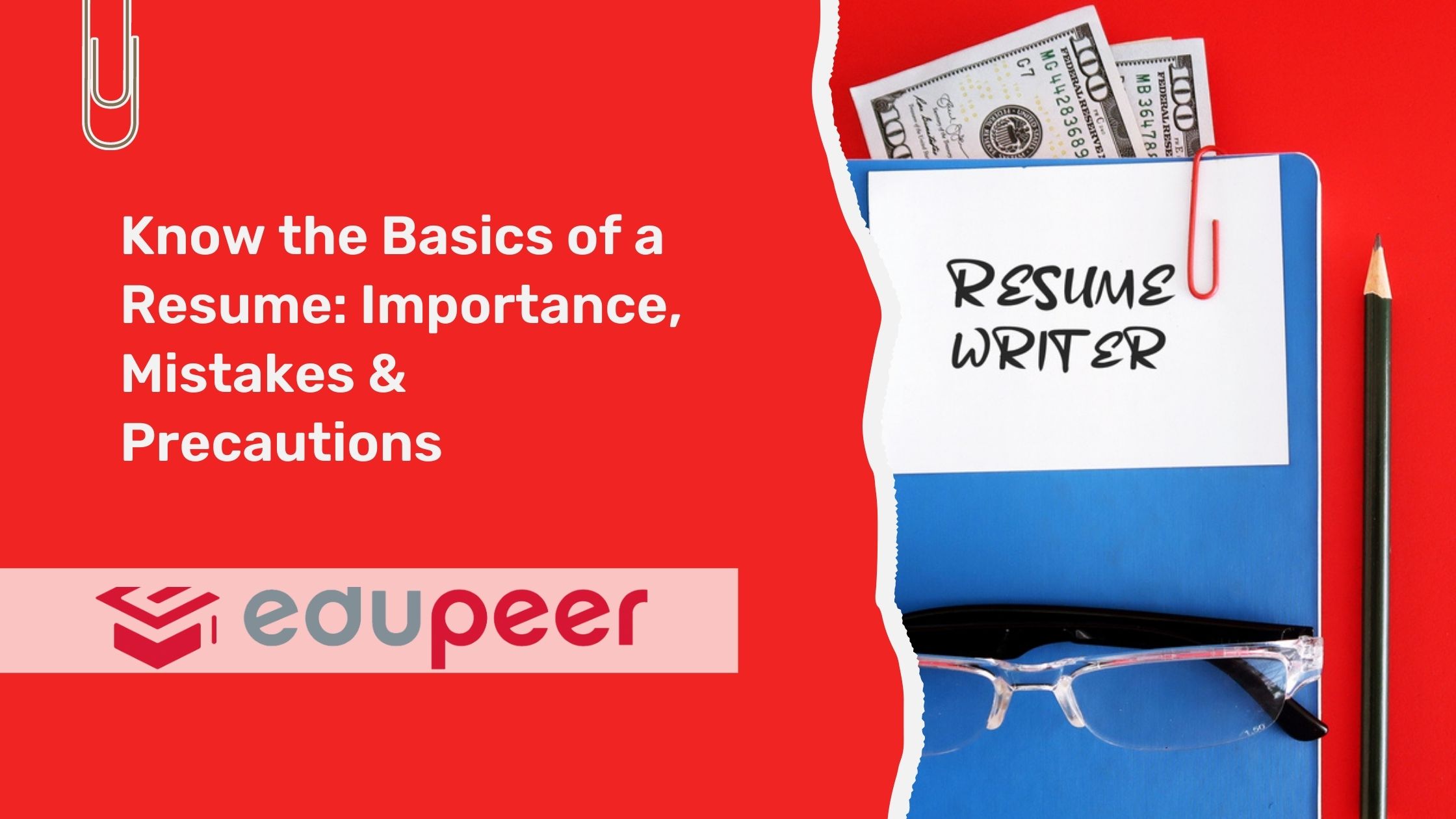 Know the Basics of a Resume: Importance, Mistakes & Precautions