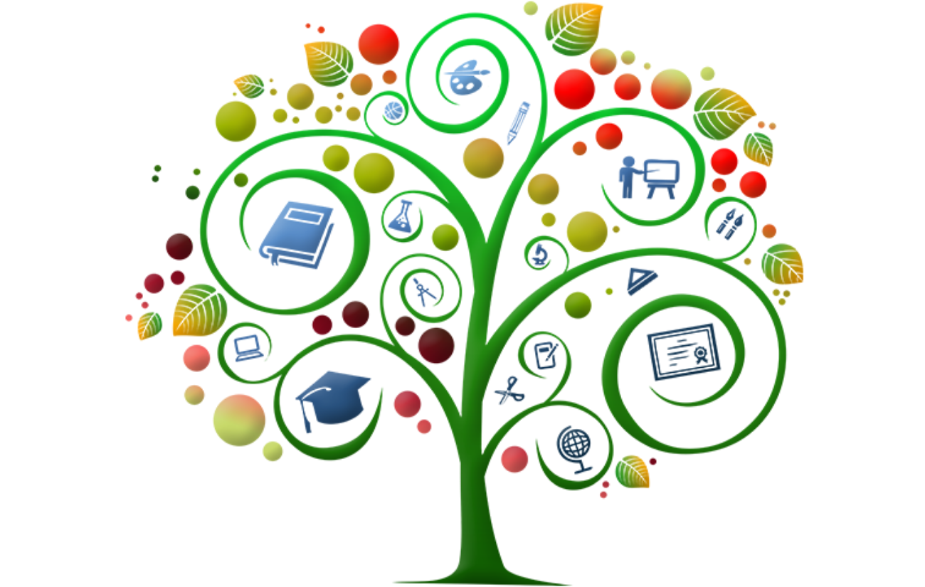 5 Life Skills For College Admission